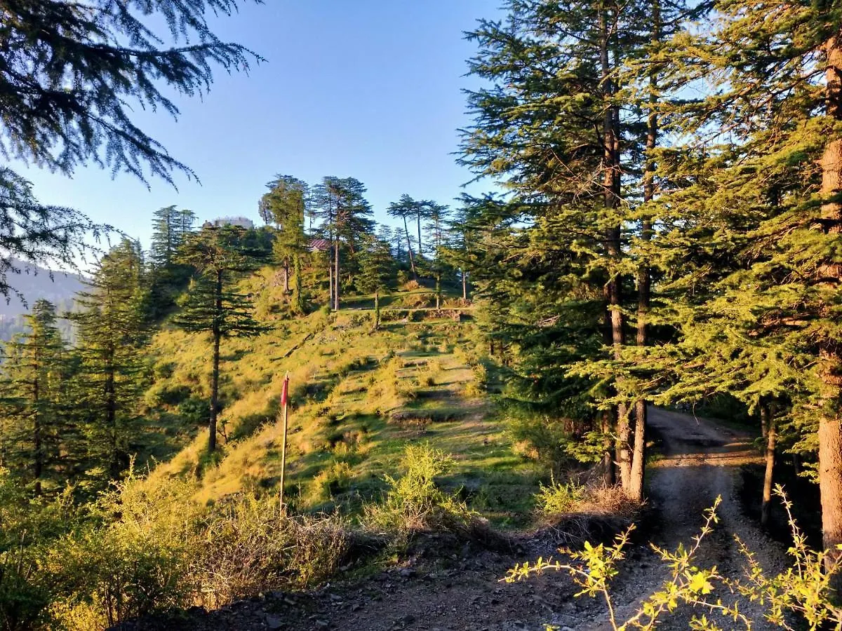 דירה שימלה Neha Homestay