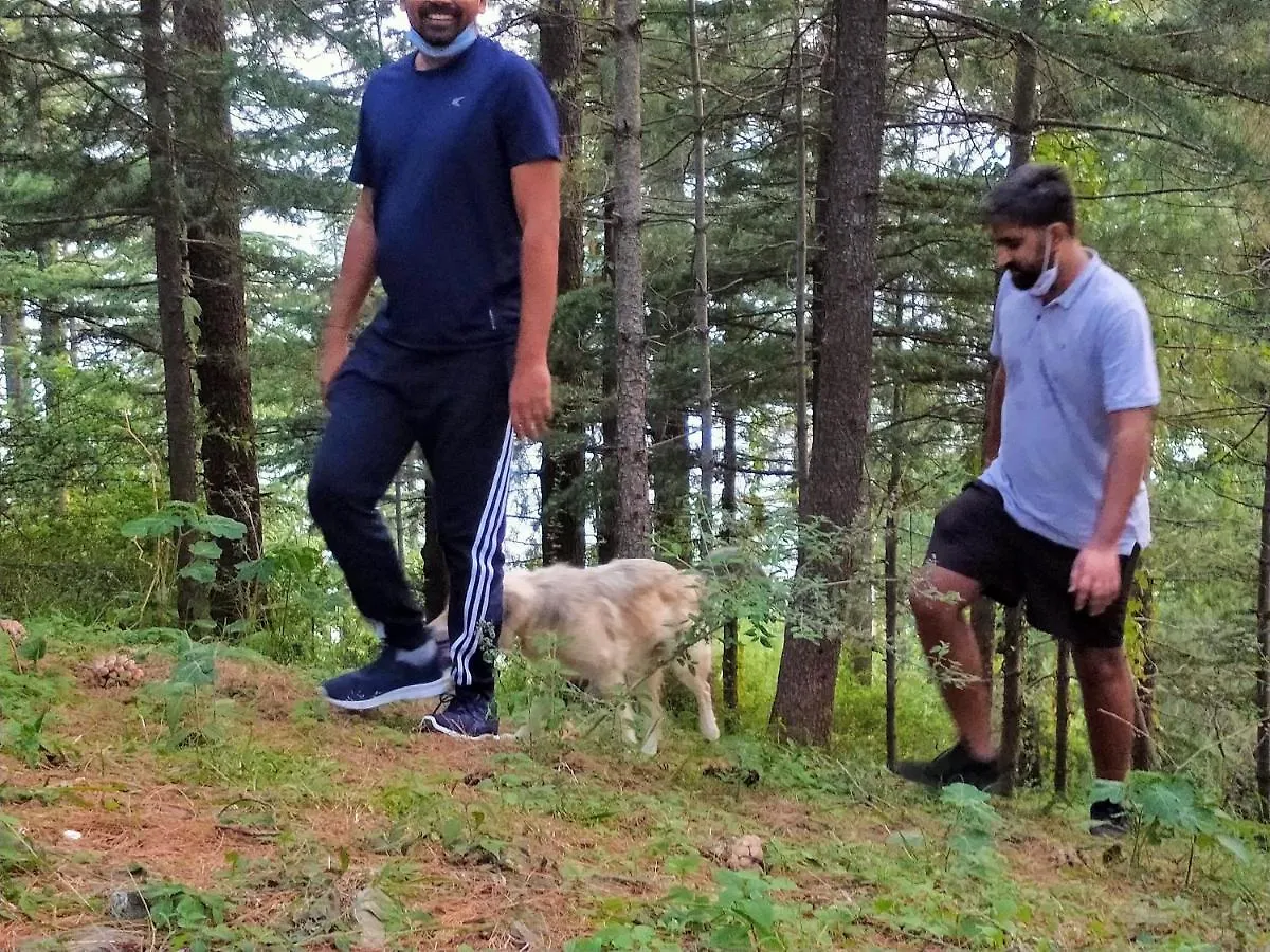 Apartment Neha Homestay Shimla