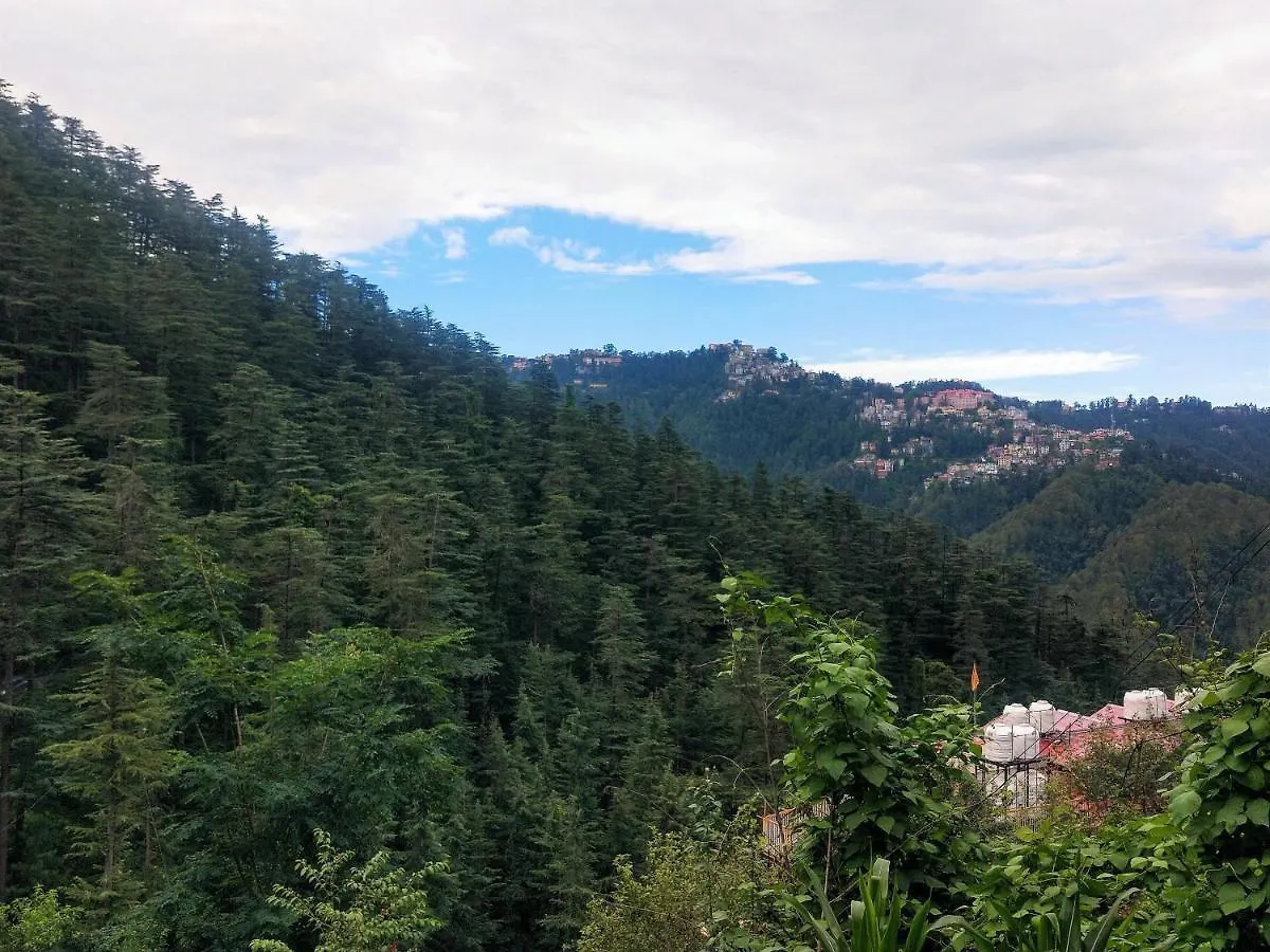 Neha Homestay Shimla