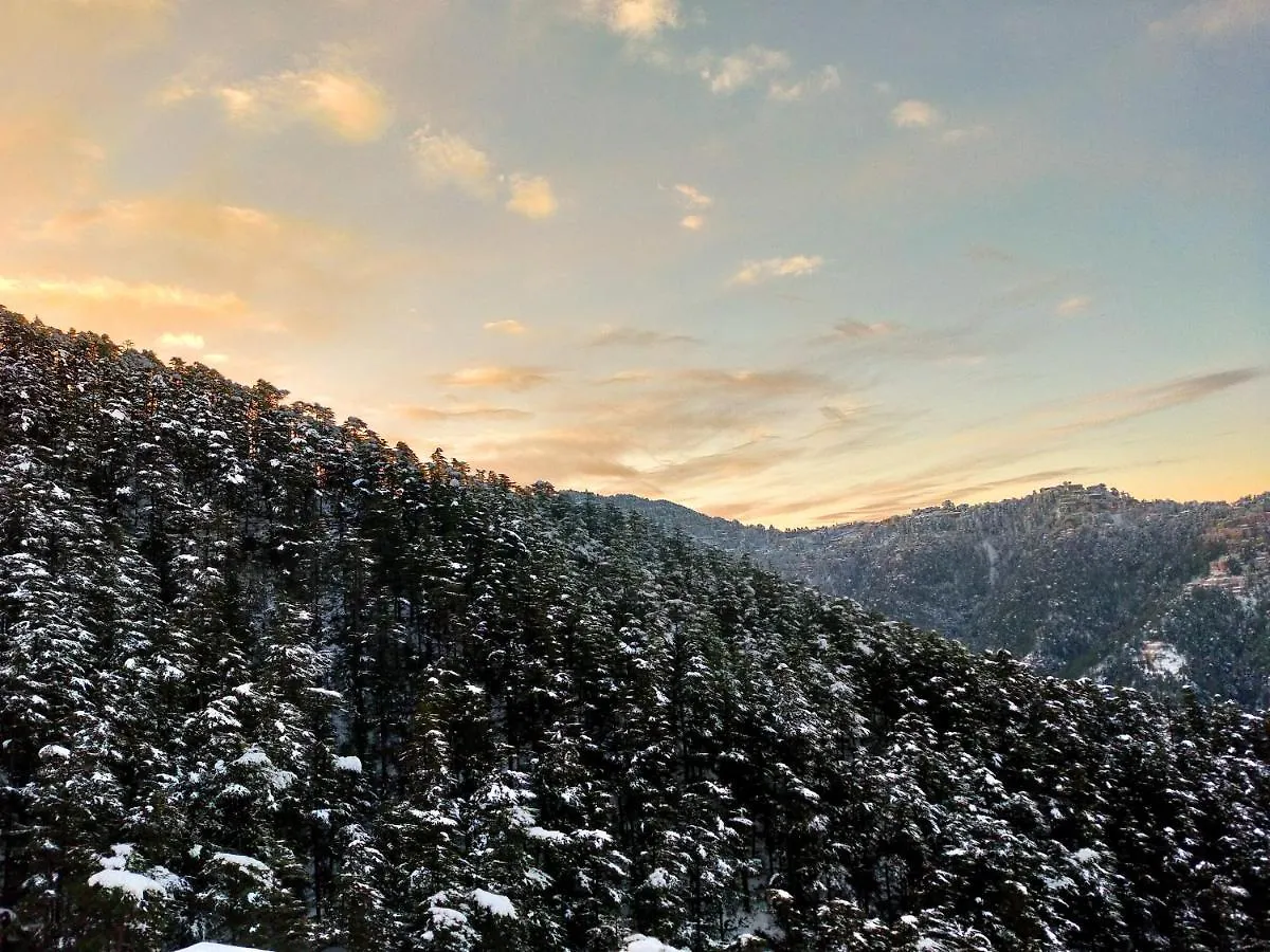 Neha Homestay Shimla Apartment
