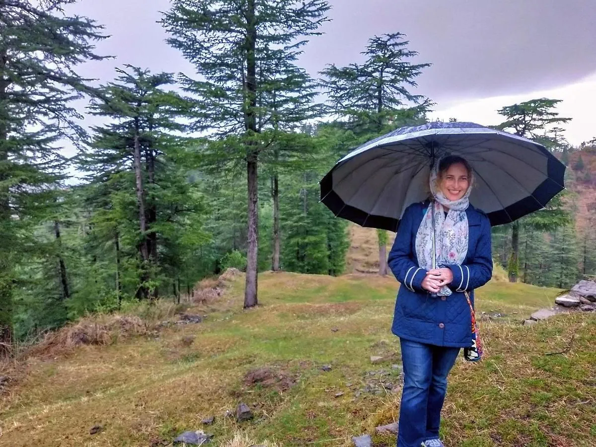 Neha Homestay Shimla