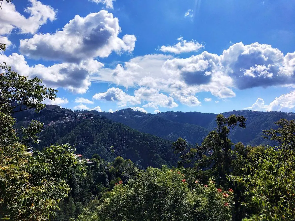 Neha Homestay Shimla 0*,