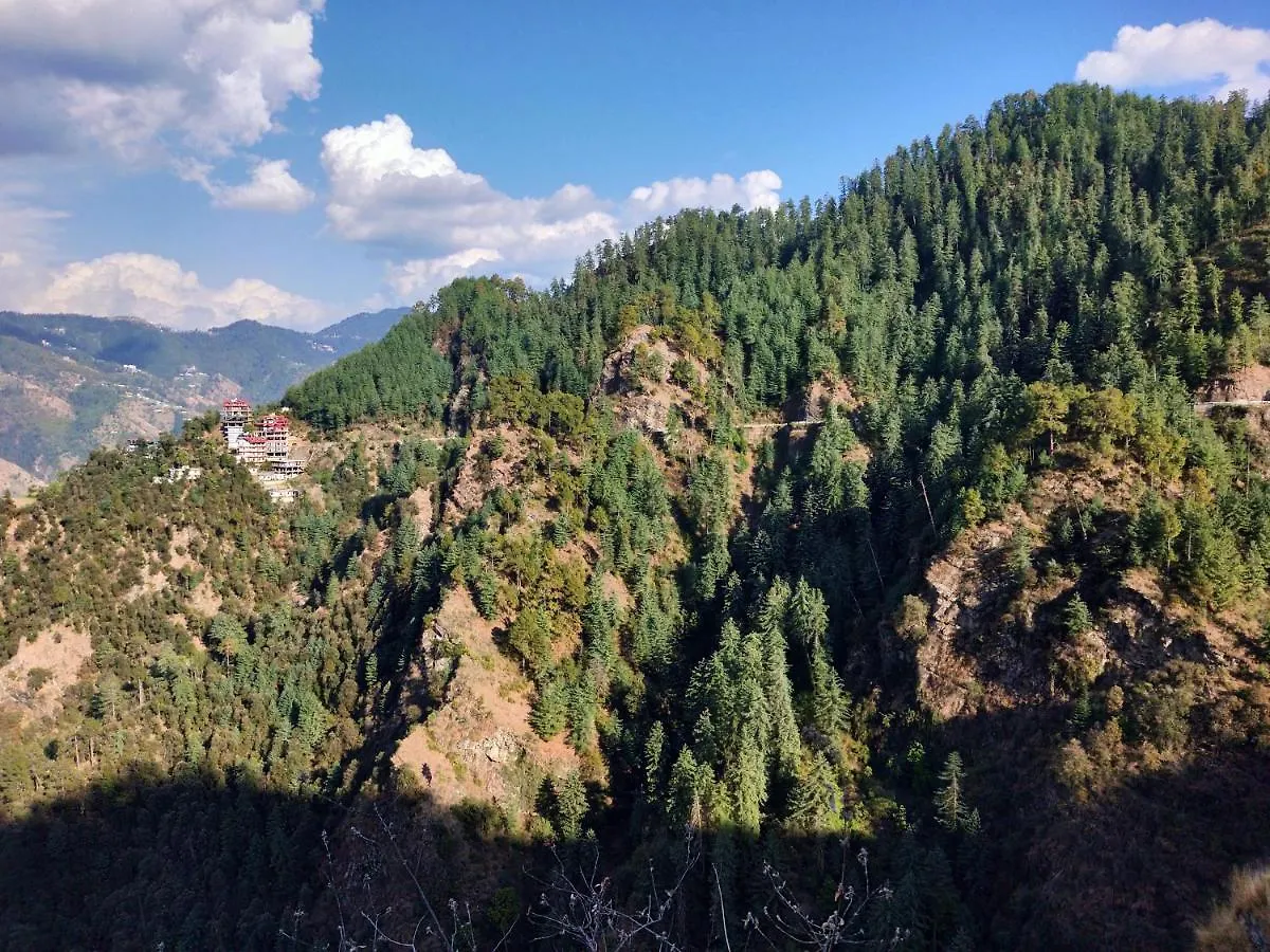 Neha Homestay Shimla Apartment