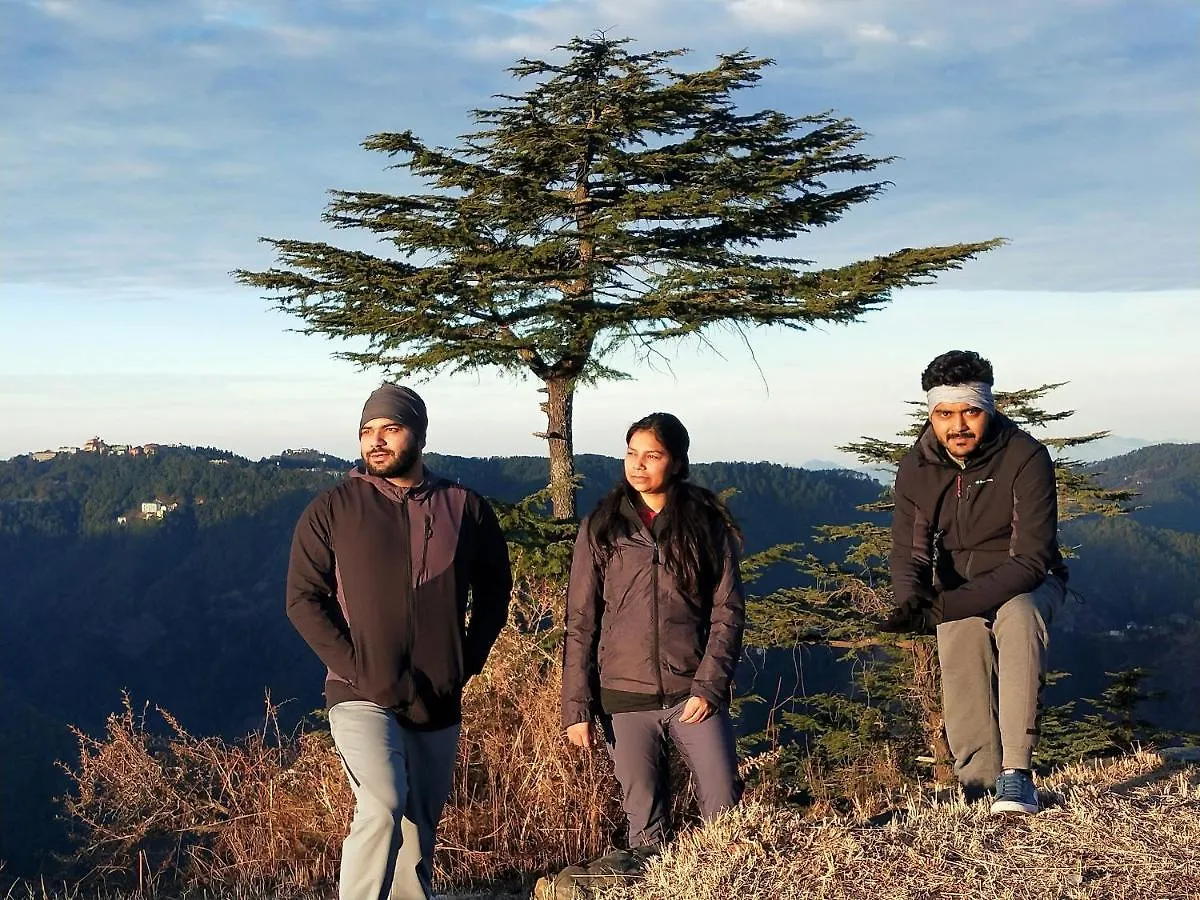 Neha Homestay Shimla
