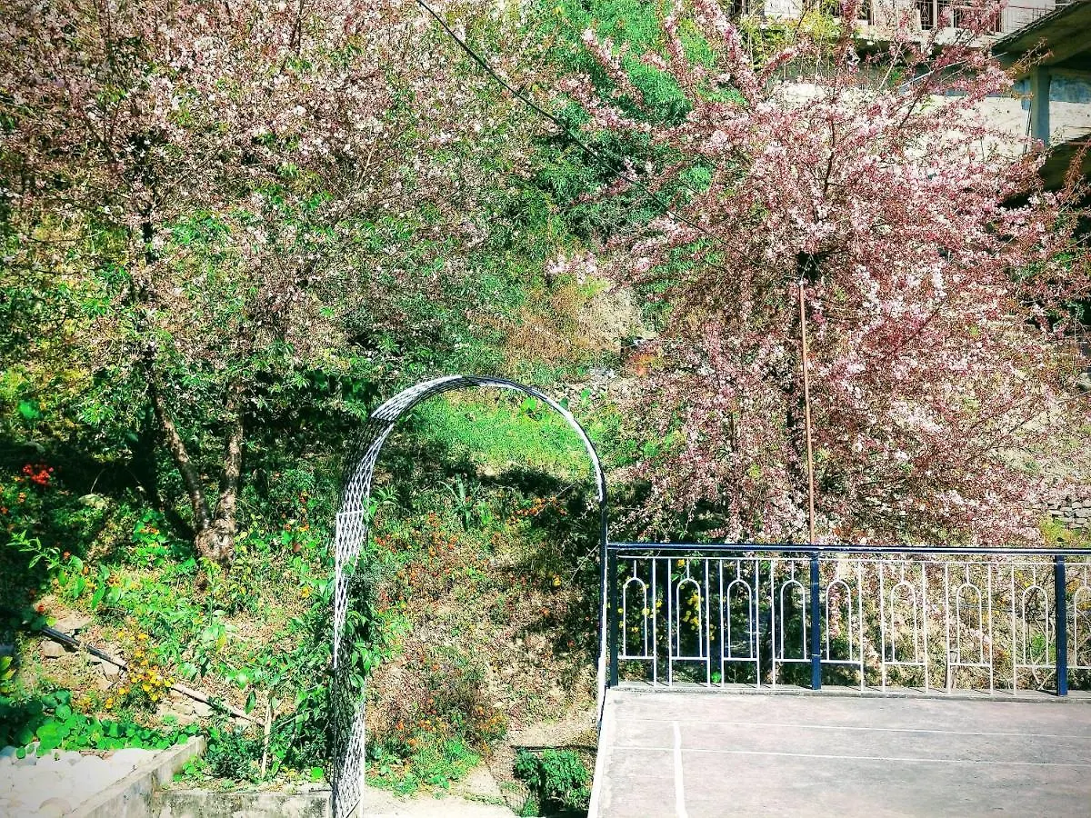 Neha Homestay Shimla 0*,
