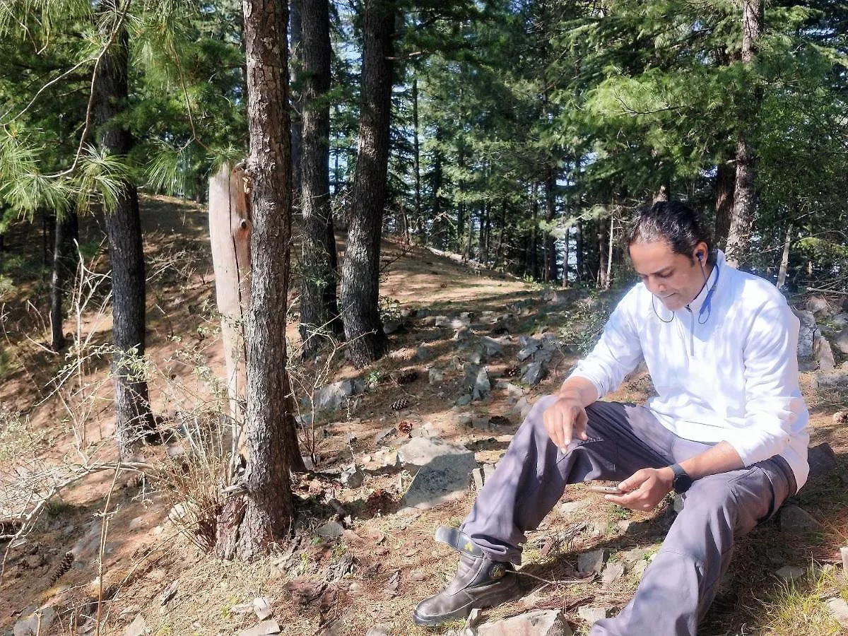 Neha Homestay Shimla India