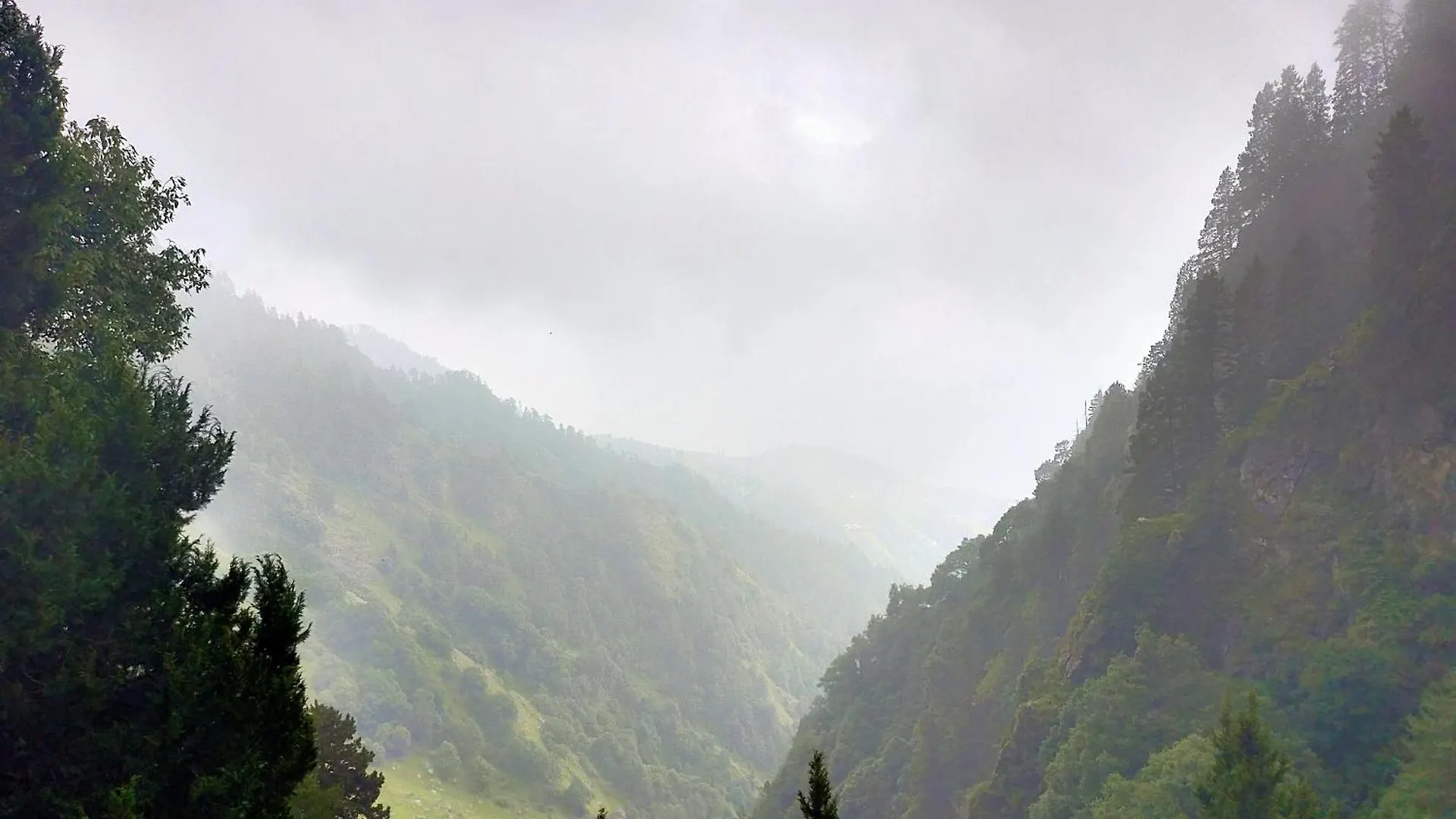 Neha Homestay Shimla